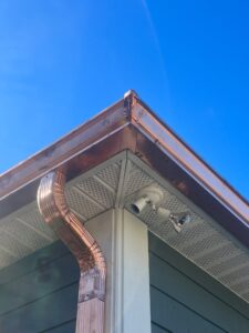 Gutter Installation & Holiday Lighting