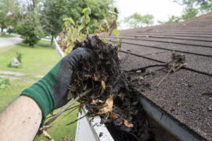 Gutter Installation & Holiday Lighting